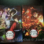 Demon Slayer zum Training der Säulen exkl. Karten